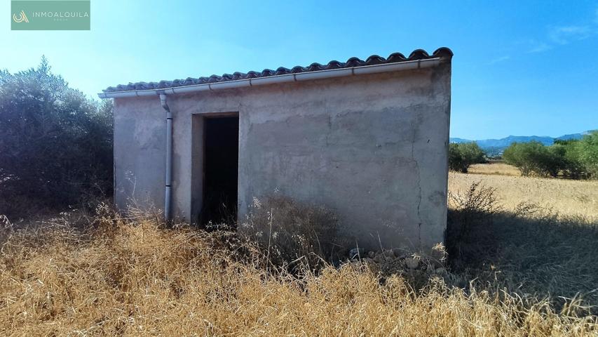 FINCA RÚSTICA EN CONSELL photo 0