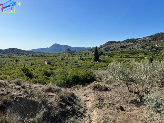 TERRENO CON RIEGO DE GOTEO EN LA SIERRA DE RICOTE photo 0