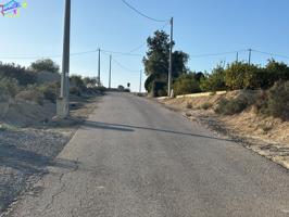 TERRENO RUSTICO EN LA ANCHOSA ( ARCHENA ) photo 0