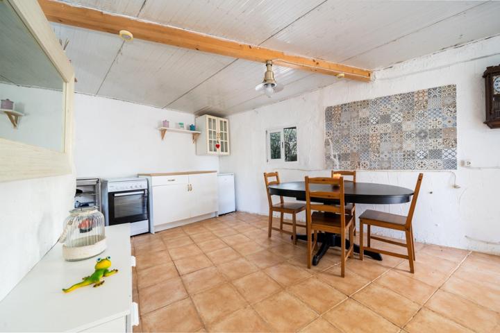 Terreno Rústico en Petra - Oportunidad Única para desconectar de la ciudad photo 0