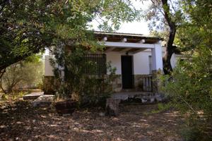 MAGNÍFICA PARCELA URBANA CON CHALET INDEPENDIENTE photo 0