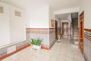 VIVIENDA EN PIO XII photo 0