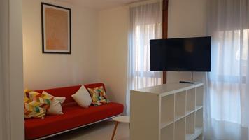 APARTAMENTO AMUEBLADO ZONA PARQUE BRUIL photo 0