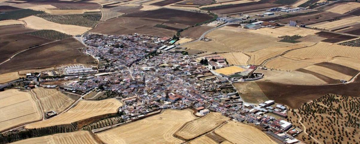 ESTUPENDAS PARCELAS EN ESCACENAS DEL CAMPO photo 0