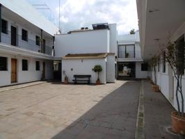 EL MEJOR APARTAMENTO DE SANLUCAR LA MAYOR photo 0
