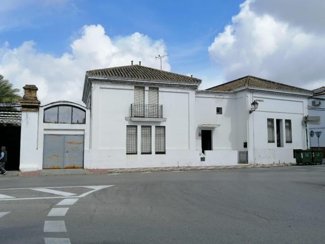 GRAN CASA SEÑORIAL EN EL CENTRO DE OLIVARES photo 0