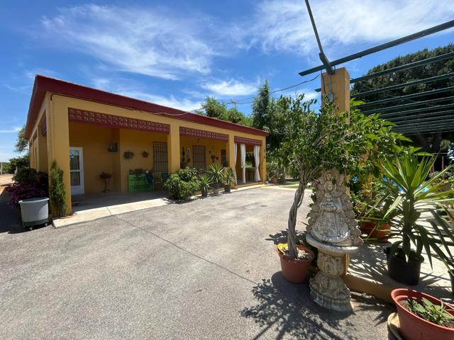 Tu paraíso entre Utrera y Los Palacios — Donde la libertad tiene 4.900 m² photo 0