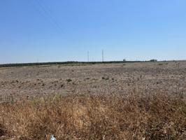 TERRENO RÚSTICO photo 0