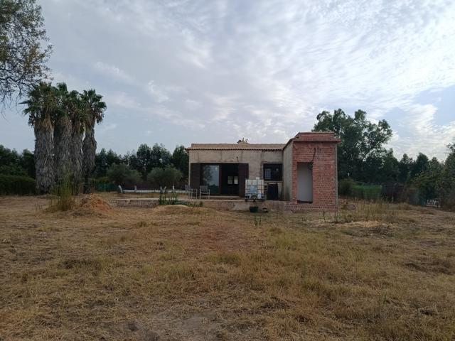 Oportunidad Única en Entrepinos (Hinojos, Huelva): Bajada de Precio y Alta Demanda photo 0