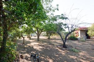 Unifamiliar En venta en Andalucia, Espartinas photo 0