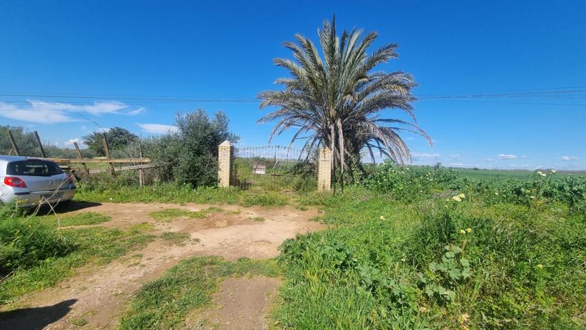 TERRENO RUSTICO- CARRETERA MAIRENA-ALMENSILLA photo 0