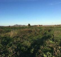 Casa De Campo En venta en Muro, Muro photo 0