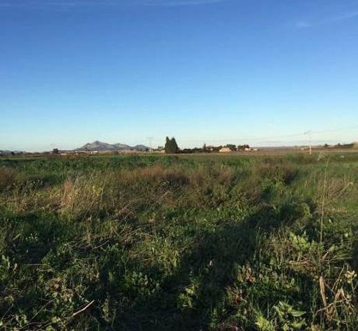 Casa De Campo En venta en Muro, Muro photo 0