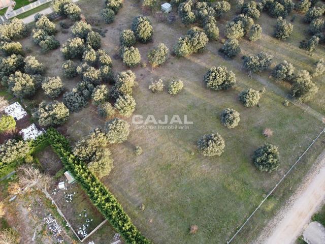 Terreno Urbanizable En venta en Camino Del Roble, 5, Fresno De Cantespino photo 0