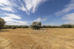 Terreno Urbanizable En venta en Hueva photo 0
