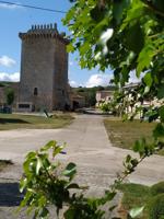 CASTILLO HISTÓRICO OLMOS DE LA PICAZA photo 0