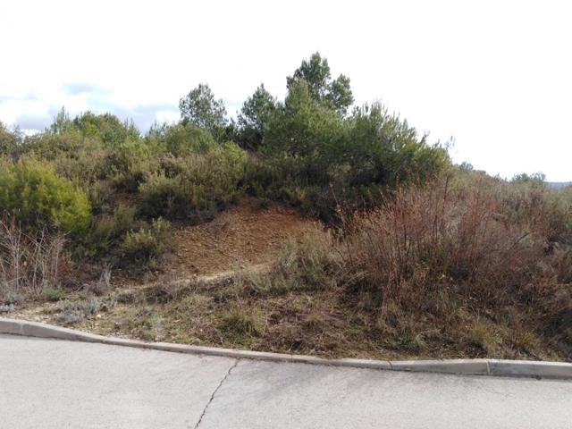 TERRENO EN VENTA EN RIVER PARK (EL PONT DE VILOMARA I ROCAFORT) photo 0