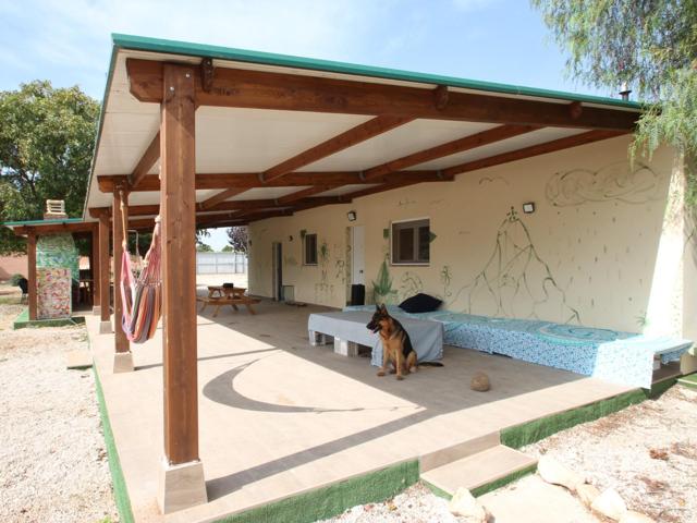 FINCA EN EL CAMPO DE TORREVIEJA photo 0