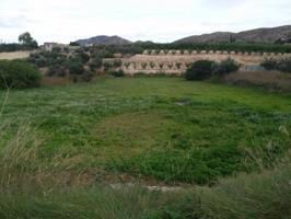 Terreno Urbanizable En venta en Calasparra, Calasparra photo 0