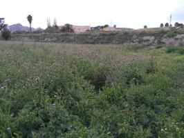 Terreno Urbanizable En venta en Calasparra, Calasparra photo 0
