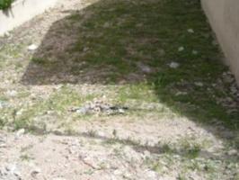 Terreno Urbanizable En venta en Centro, Calasparra photo 0