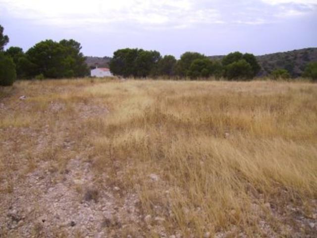 Terreno Urbanizable En venta en Calasparra, Calasparra photo 0