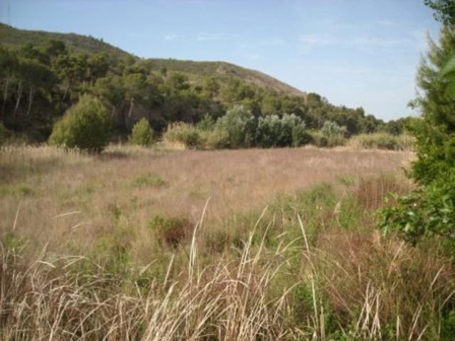 Terreno Urbanizable En venta en Calasparra, Calasparra photo 0