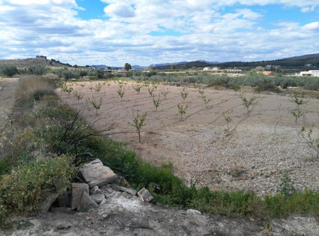 Terreno Urbanizable En venta en Calasparra, Calasparra photo 0