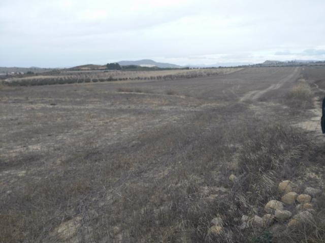Terreno Urbanizable En venta en Reolid, Calasparra photo 0
