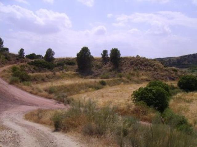 Terreno Urbanizable En venta en Calasparra photo 0