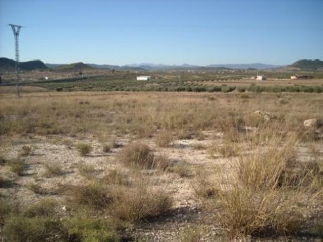 Terreno Urbanizable En venta en Calasparra, Calasparra photo 0