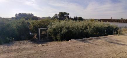 Terreno Urbanizable En venta en Calasparra, Calasparra photo 0