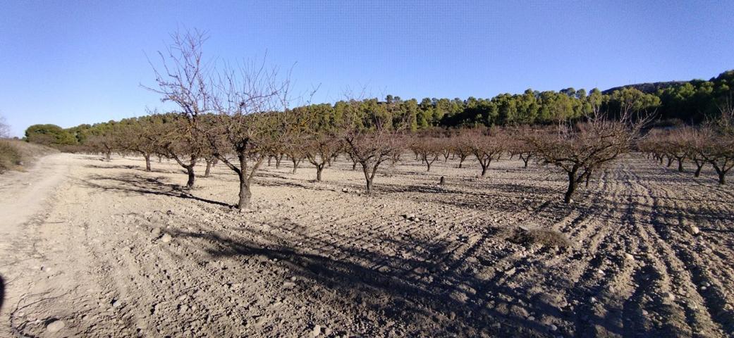 Terreno Urbanizable En venta en Moratalla, Moratalla photo 0