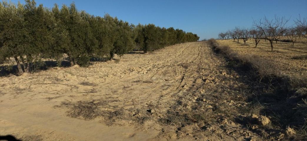 Terreno Urbanizable En venta en Calasparra, Calasparra photo 0