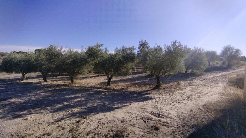 Terreno Urbanizable En venta en Moratalla, Moratalla photo 0