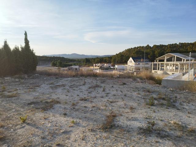 Terrenos Edificables En venta en Urbanización Tierra Del Sol, Calasparra photo 0