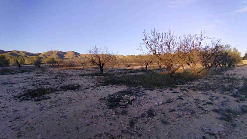Terreno Urbanizable En venta en Calasparra, Calasparra photo 0