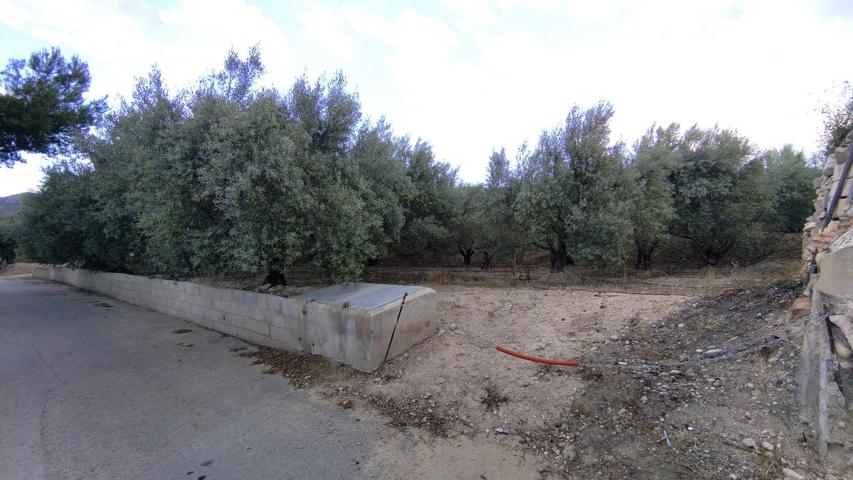Terreno Urbanizable En venta en Calasparra, Calasparra photo 0