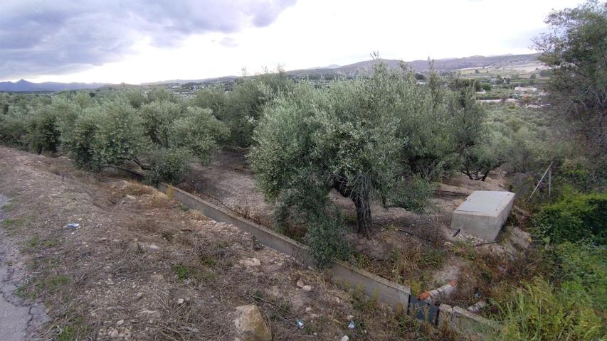 Terreno Urbanizable En venta en Calasparra, Calasparra photo 0