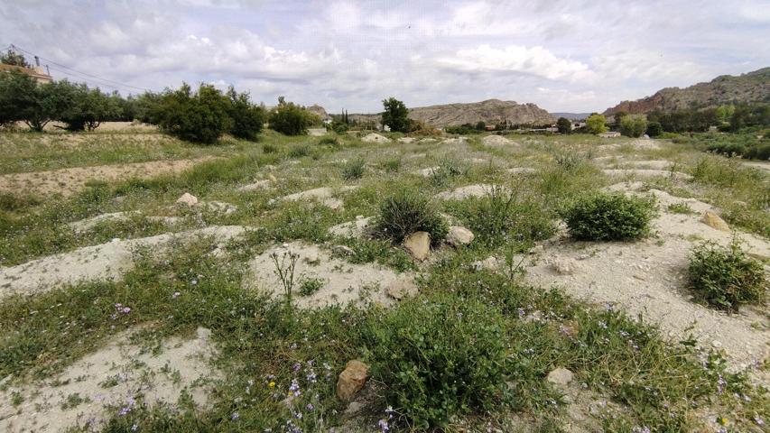 Terreno Urbanizable En venta en Calasparra, Calasparra photo 0