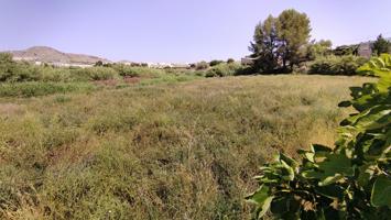 Terreno Urbanizable En venta en Calasparra, Calasparra photo 0