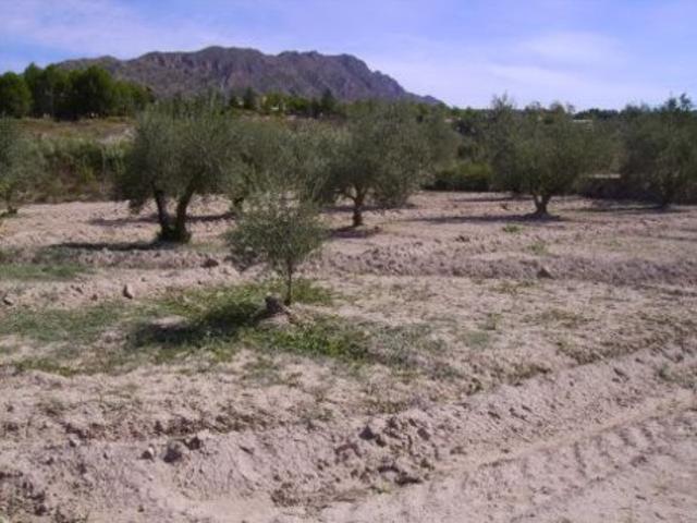 Terreno Urbanizable En venta en Calasparra, Calasparra photo 0