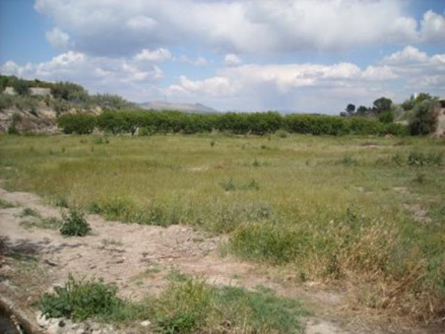 Terreno Urbanizable En venta en Calasparra, Calasparra photo 0