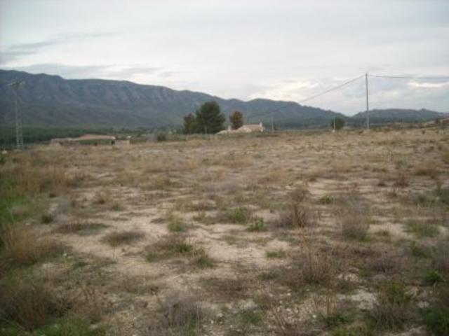 Terreno Urbanizable En venta en Calasparra, Calasparra photo 0