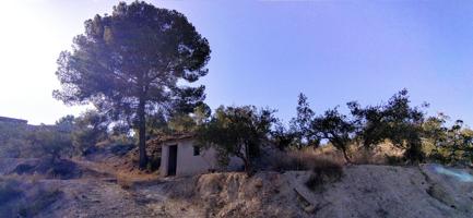 Terreno Urbanizable En venta en Calasparra, Calasparra photo 0