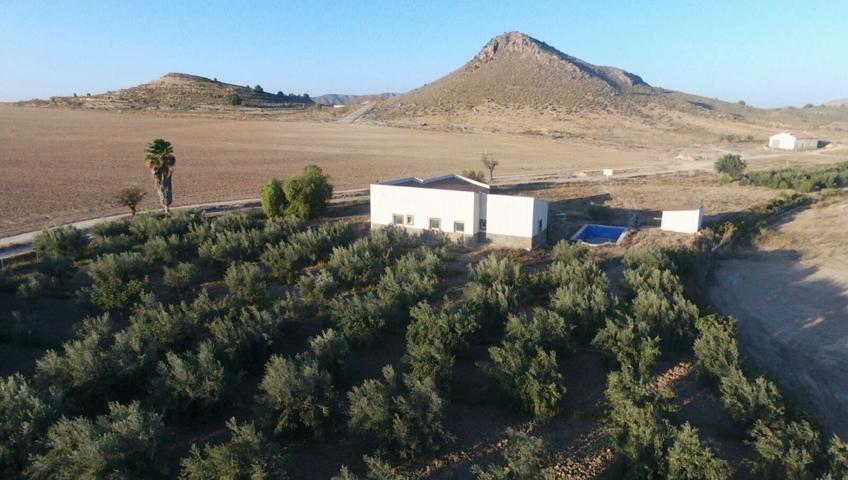 Terreno Urbanizable En venta en Calasparra, Calasparra photo 0