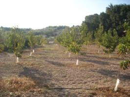 Terreno Urbanizable En venta en Calasparra, Calasparra photo 0