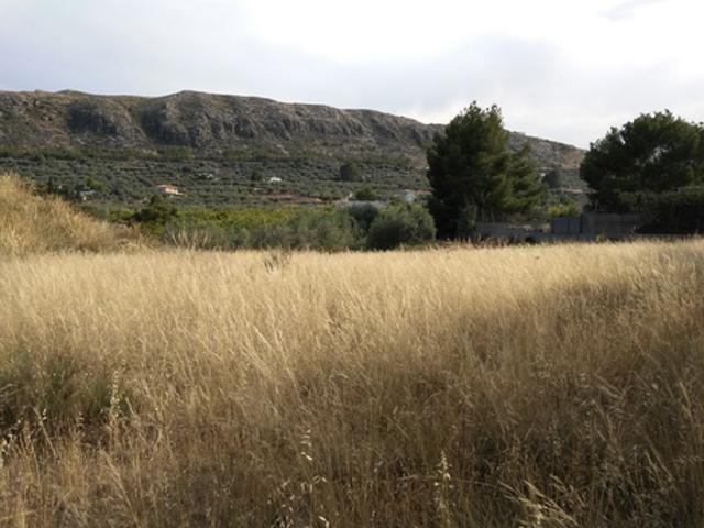 Terreno Urbanizable En venta en Calasparra, Calasparra photo 0