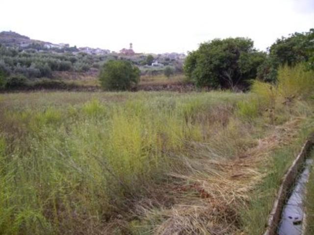 Terreno Urbanizable En venta en Calasparra, Calasparra photo 0