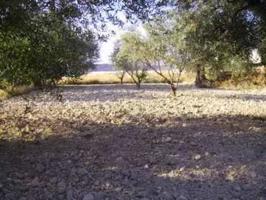 Terreno Urbanizable En venta en Calasparra, Calasparra photo 0